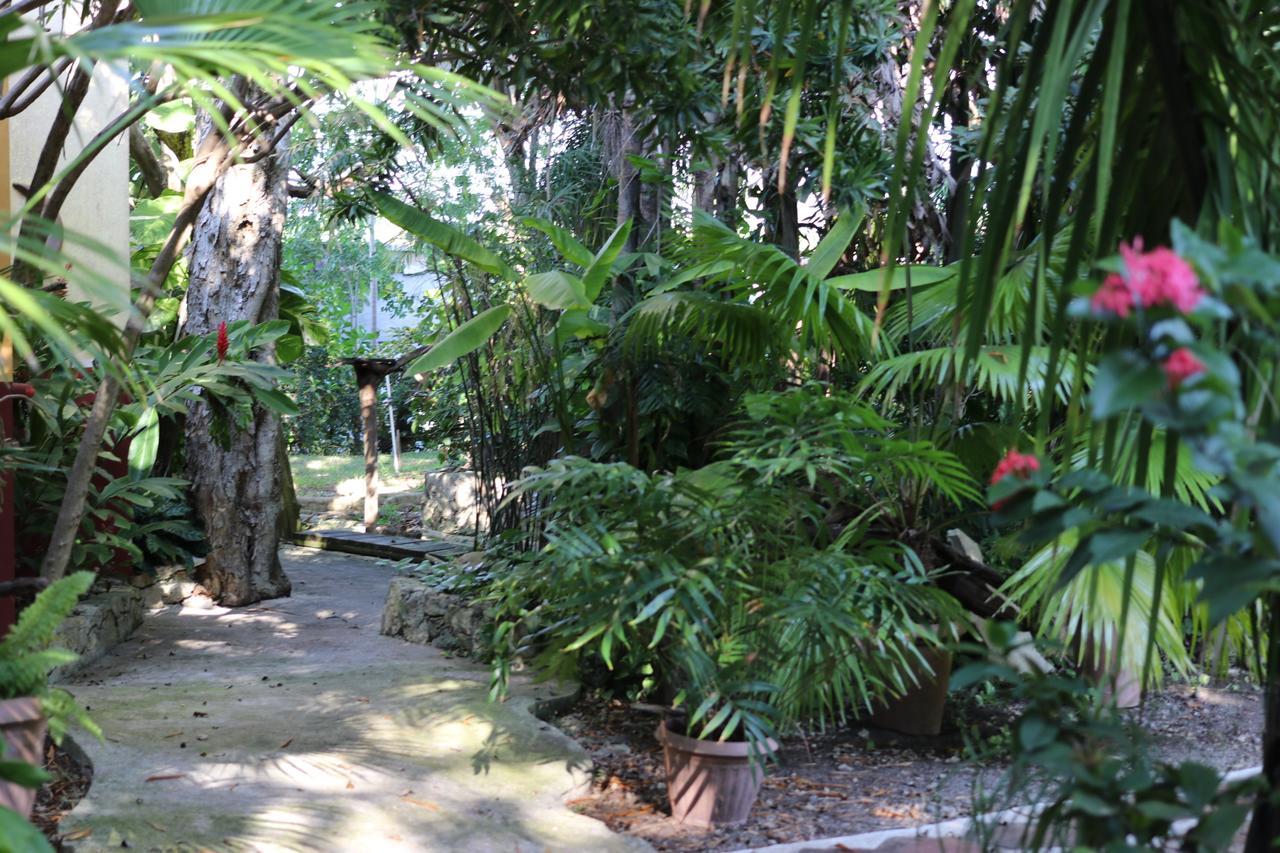Bed and Breakfast Casa Kin33 Канкун Экстерьер фото