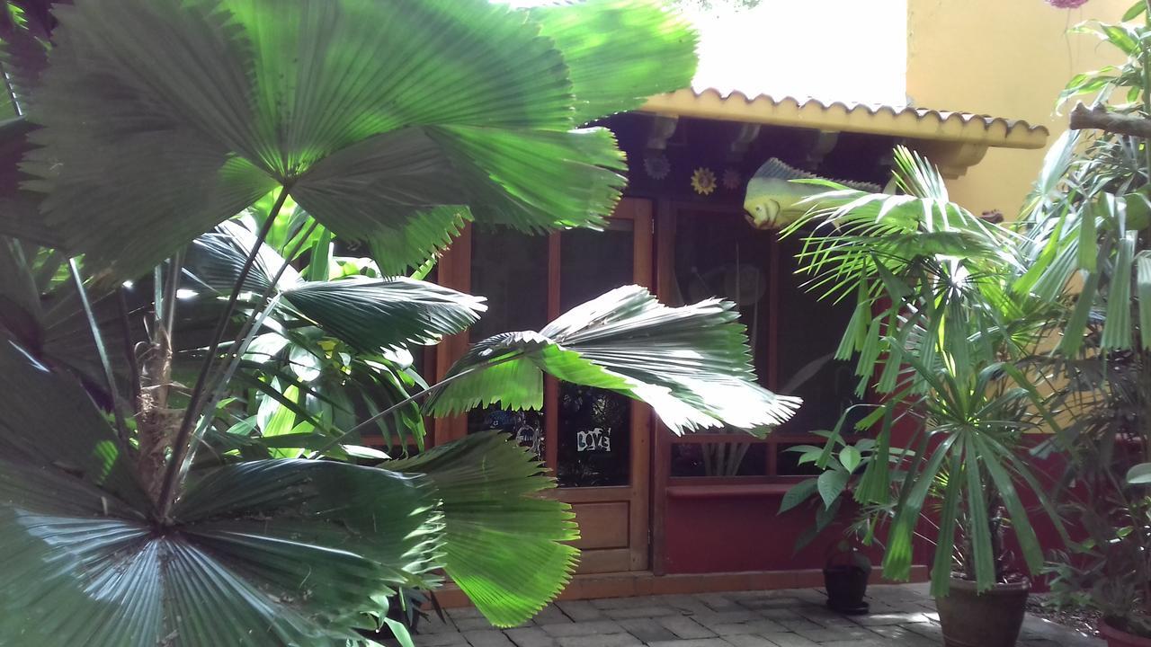 Bed and Breakfast Casa Kin33 Канкун Экстерьер фото
